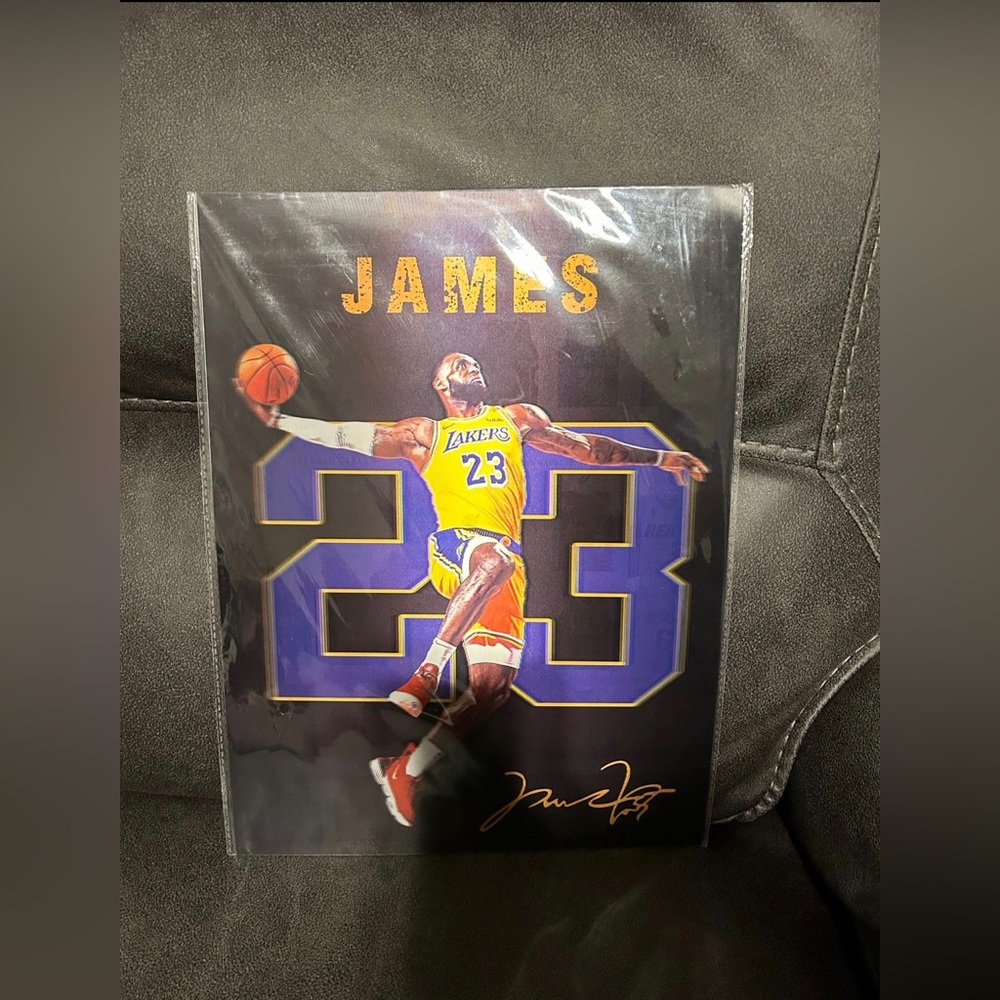Lebron James poster